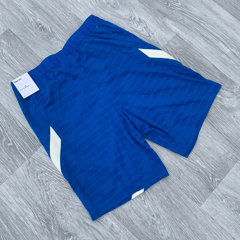 Nike FC Barcelona Strike Dri Fit Football Training Shorts - Blue [CW1849-427]